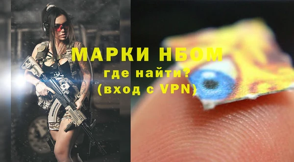 индика Лагань