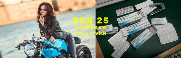 индика Лагань