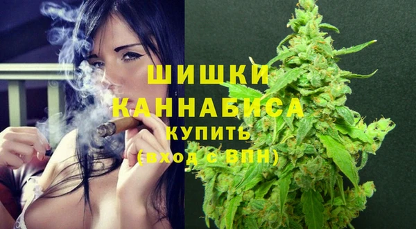 индика Лагань