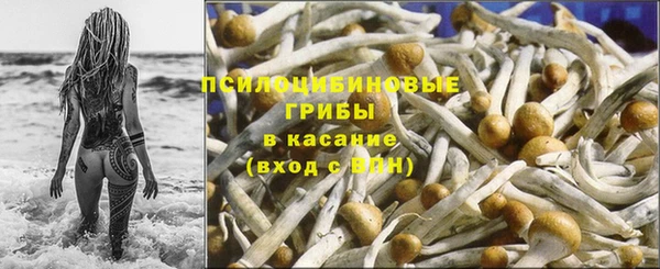 индика Лагань