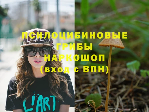 соль ск Лабытнанги
