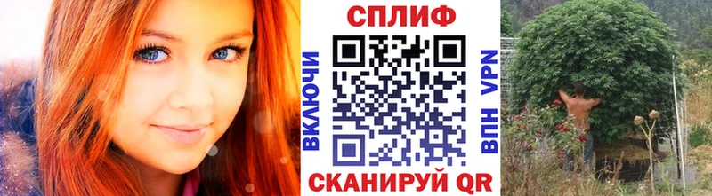 даркнет сайт  Южа  Марихуана Amnesia 